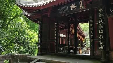 游玩拍摄门庭四川古城树林竹林视频的预览图
